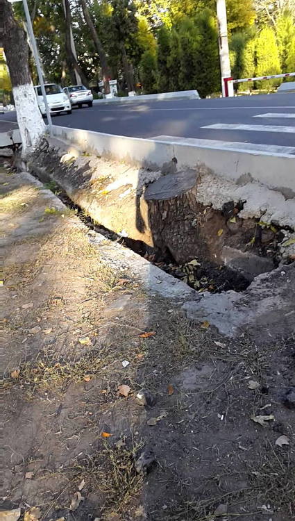 2017-10-11 16-30-04[00-19-11].jpg