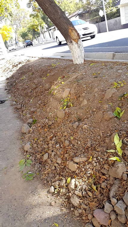 2017-10-11 10-47-19[00-55-07].jpg