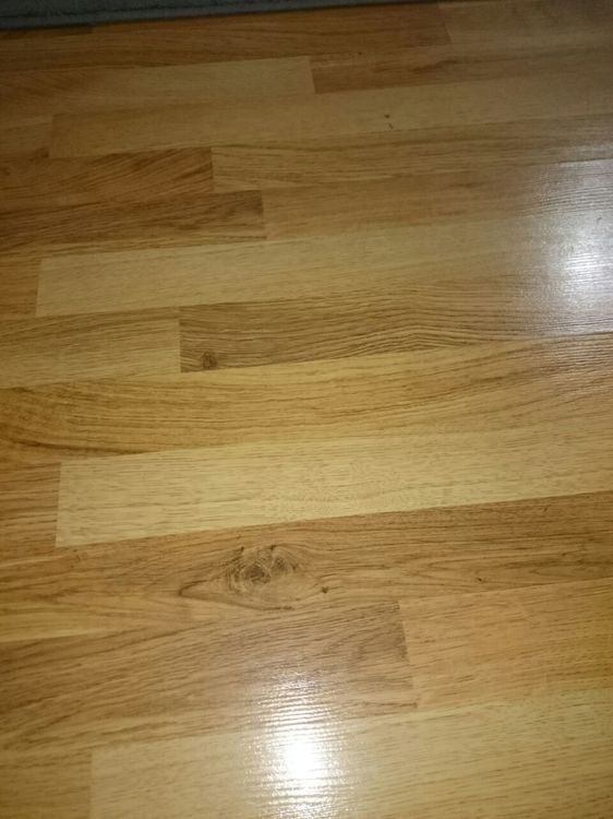 2019-01-11 10.22.29.jpg