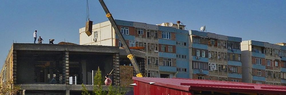 Без названия.jpg