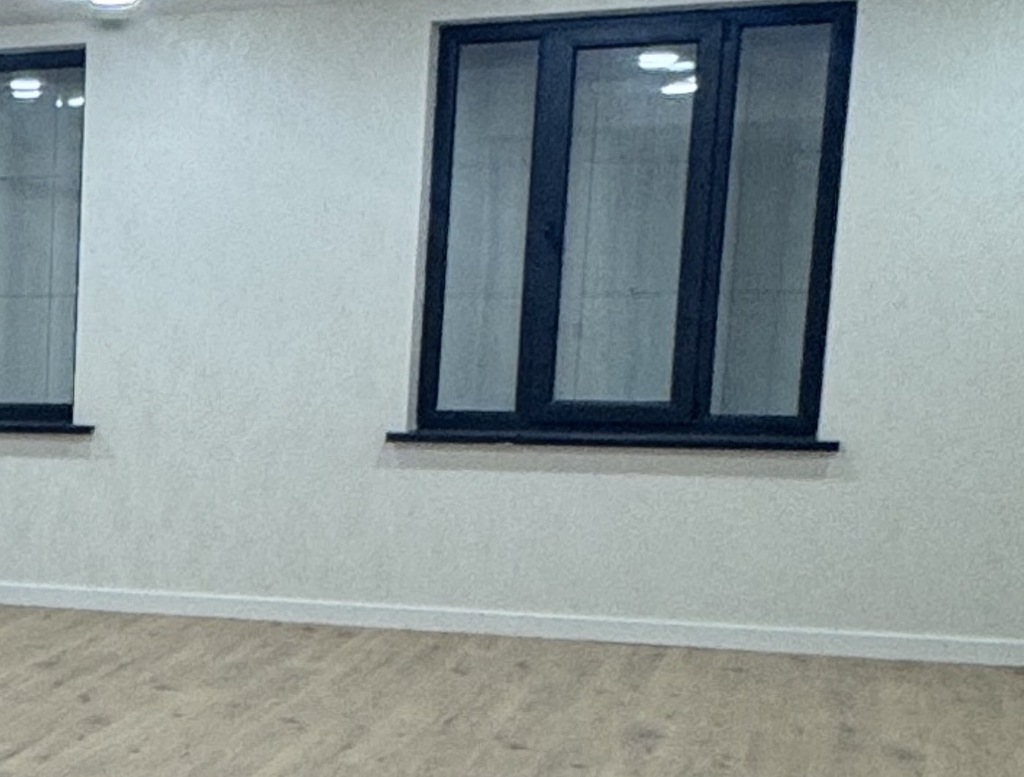 IMG_7931.jpeg.24e40851fa81c319e9196d9959f785b7.jpeg